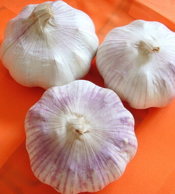 吃什么食物补肾壮阳 10种日常廉价补肾食物