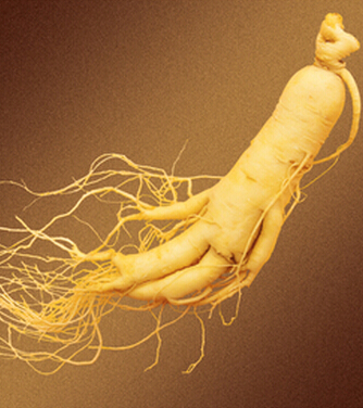 吃什么补气血 补气血的食物帮您滋补养颜