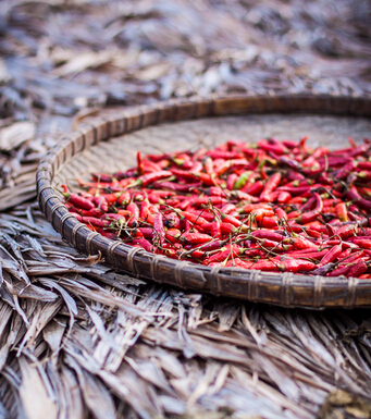 美丽的春天 老人养生千万别做8件事