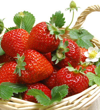 上班族犯困吃什么好 五大食物对抗上班族犯困