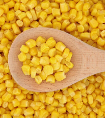 吃什么壮阳补肾 男性补肾壮阳食物倾力推荐