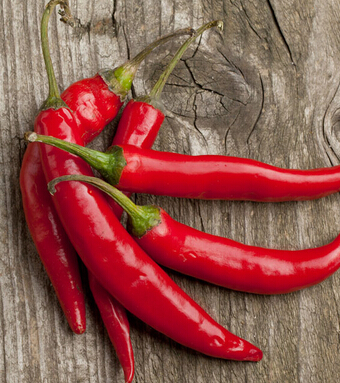 怎样保养肾 警惕养肾补肾的6大避忌