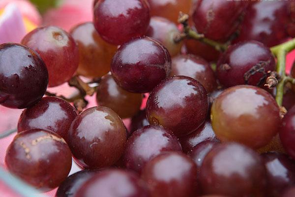 葡萄营养价值高 孕妇吃葡萄好吗