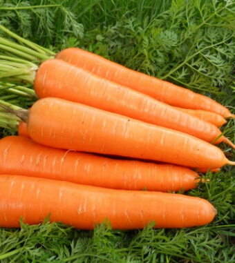 气血不足吃什么好 推荐九大补气血的食物