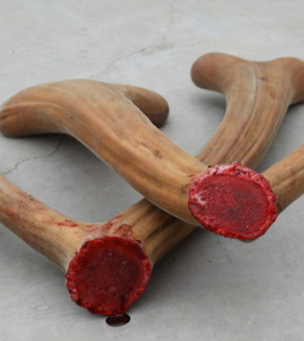 生活保健小常识 春药和壮阳药区别在何处