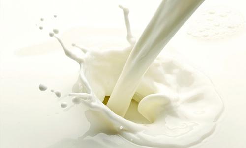 纯牛奶可以加热吗以及什么时候喝牛奶最合适