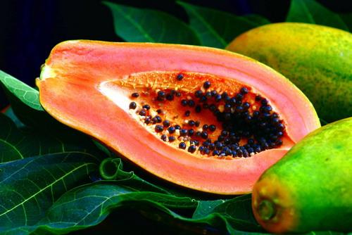 孕妇能吃木瓜吗 5种水果孕妇不能吃