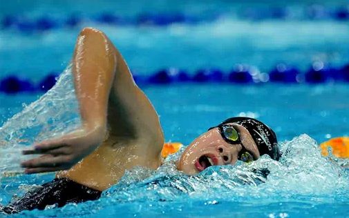 夏天来啦，关于自由泳的动作要领