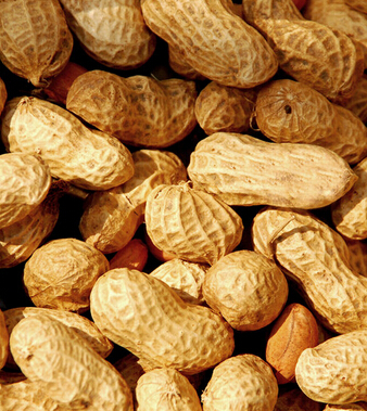 饮食与健康 9种人吃花生小心会丧命