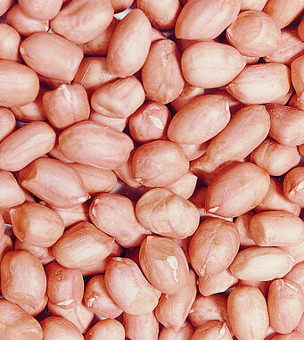 饮食与健康 9种人吃花生小心会丧命