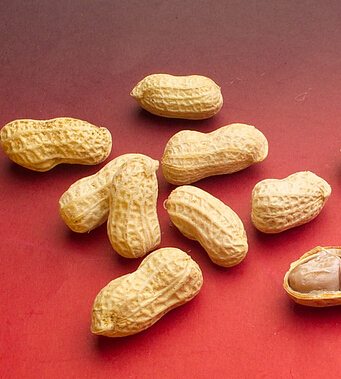 饮食与健康 9种人吃花生小心会丧命