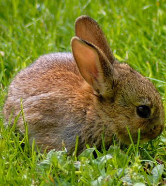 生财有道 风水学来教大家闷声发大财