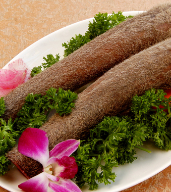 生活保健小常识 春药和壮阳药区别在何处