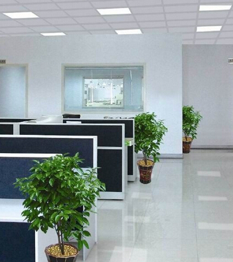 风水学 有助于升职的办公室风水摆设