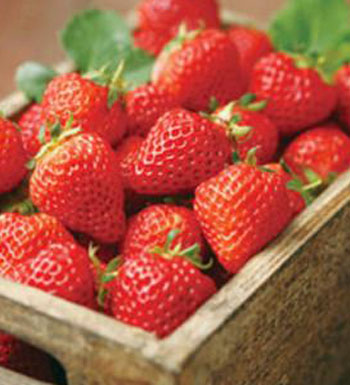 草莓的营养价值和作用有哪些 草莓八作用