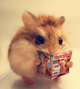 生财有道 风水学来教大家闷声发大财