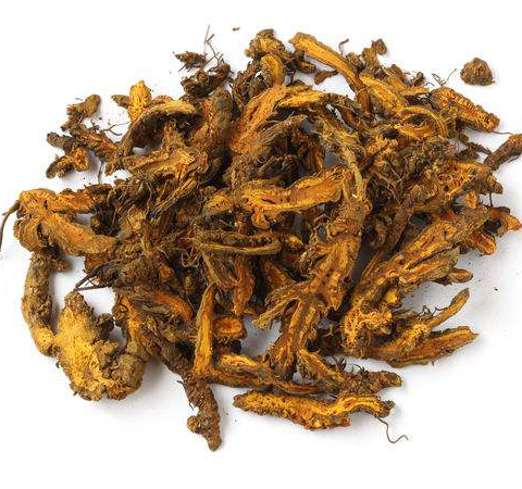 保护胃粘膜 黄莲的作用功效及禁忌介绍