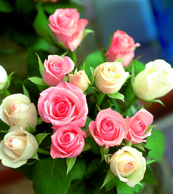 风水知识 不可错过的12种旺财旺运迹象