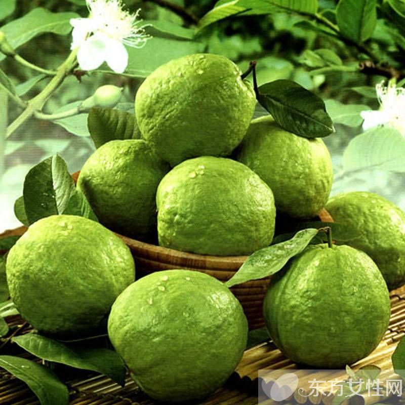 番石榴的营养价值介绍 番石榴籽吃了会便秘吗