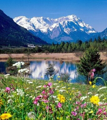 风水知识 风水学的三大原则