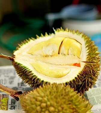 榴莲的功效与作用 活血散寒助你远离痛经困扰