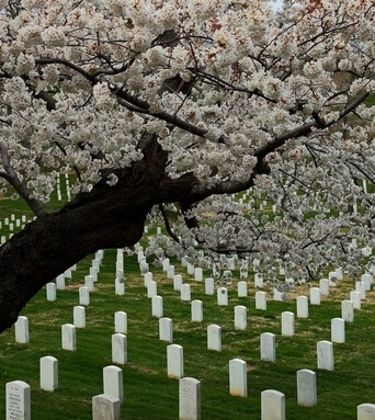 坟墓风水 墓室风水的十大禁忌