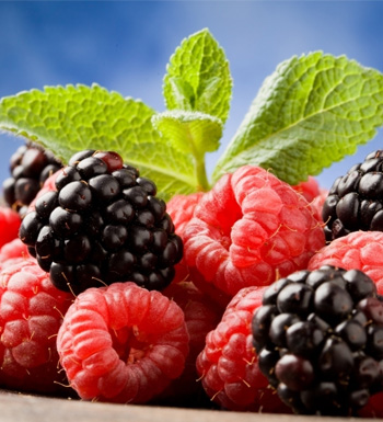 桑葚的作用与功效 桑葚的营养价值有哪些