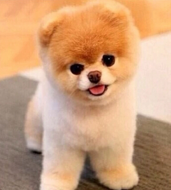 生财有道 风水学来教大家闷声发大财