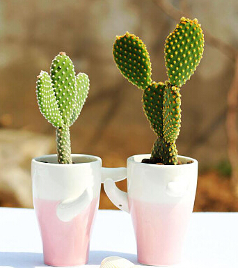 生财有道 风水学来教大家闷声发大财