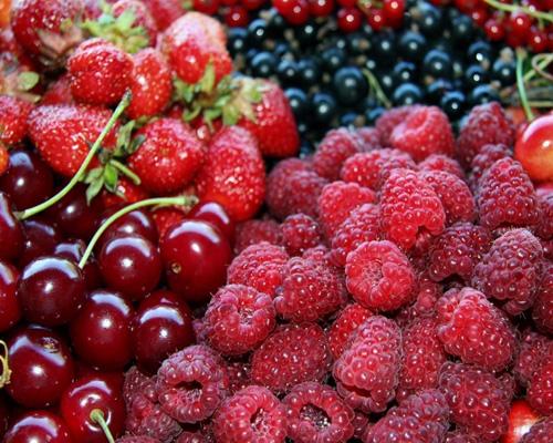 怎样减肥又快又健康 这8个绝招帮你做到