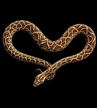 生财有道 风水学来教大家闷声发大财