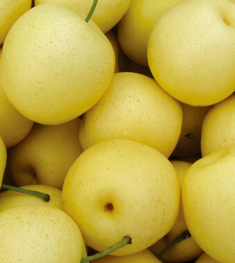 春天吃什么水果好 春吃6水果最养生