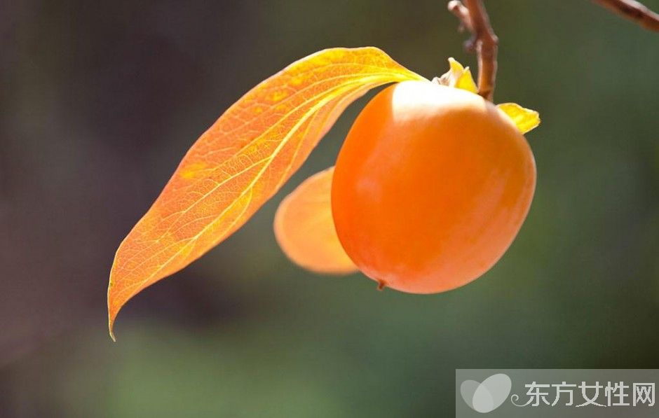 柿子怎么吃不涩 柿子相克食物大盘点