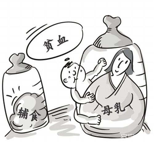 贫血的危害及贫血的调理方法介绍