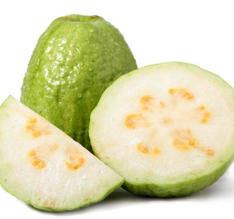 增加食欲 番石榴的功效与作用及营养价值介绍