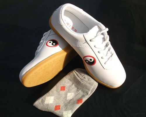 怎样能快速学会二十四式简化太极拳