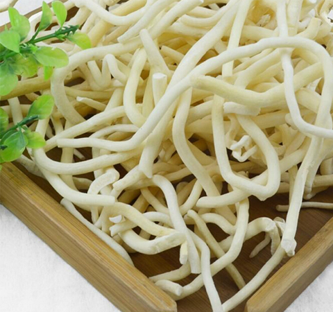 通利血脉 通草的功效与作用及禁忌介绍