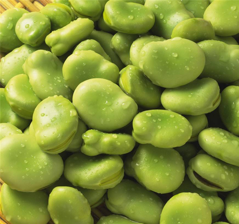 利湿消肿 蚕豆的功效与作用及吃法介绍