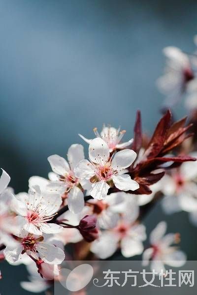 回南天如何防潮 学会这6个防潮秘籍轻松搞定