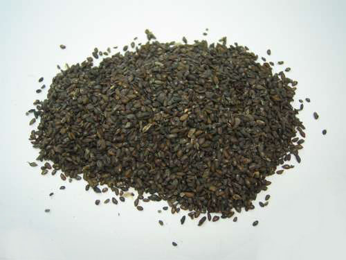 车前子的药效 车前草的副作用