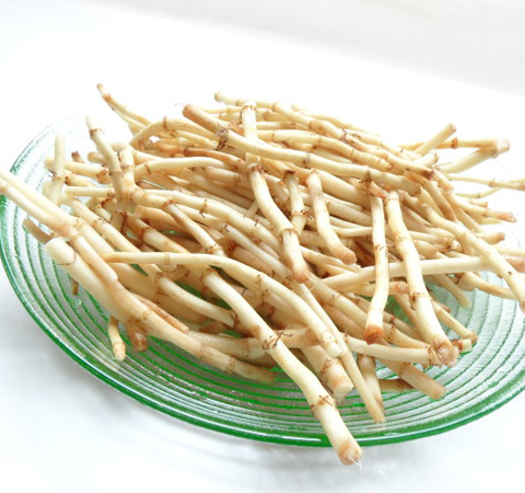 清热解毒 鱼腥草的副作用和功效介绍