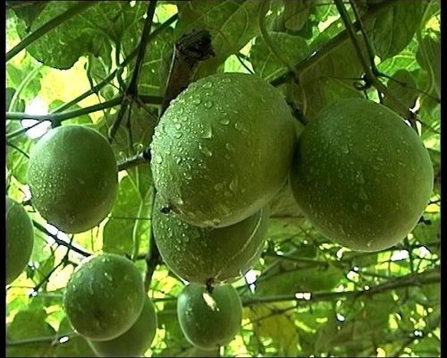 延缓衰老的方法，这些很多人都还不知道