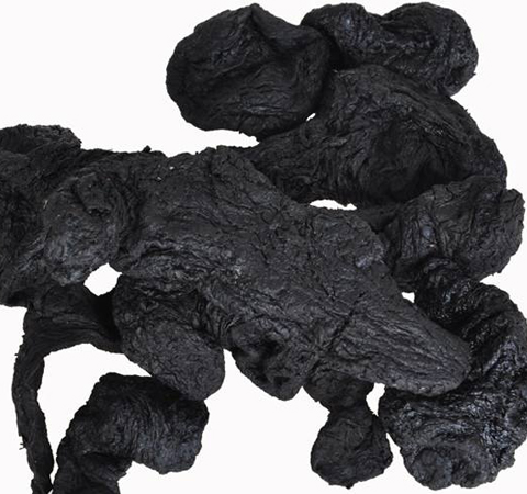 提高免疫功能 熟地的功效与作用及副作用介绍