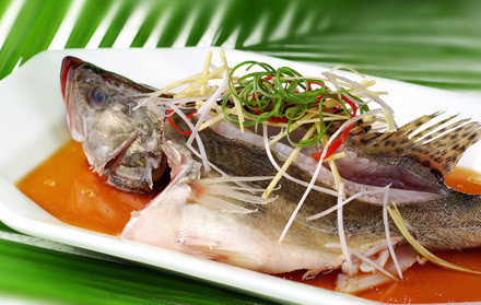 桂鱼怎么做好吃 桂鱼的营养价值及家常做法