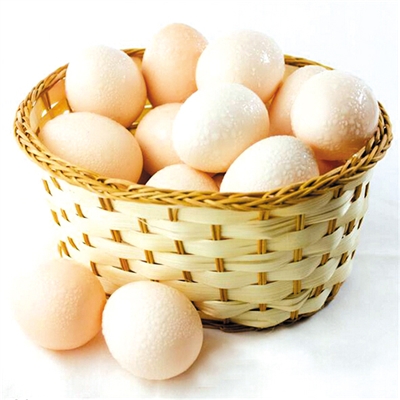 鸡蛋壳有什么用处  你懂得多少