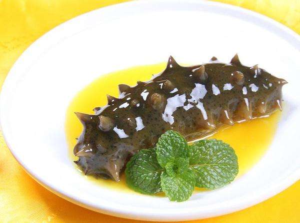 海参的功效有着意想不到的好处