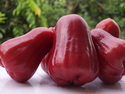 莲雾怎么吃，莲雾的吃法有哪些