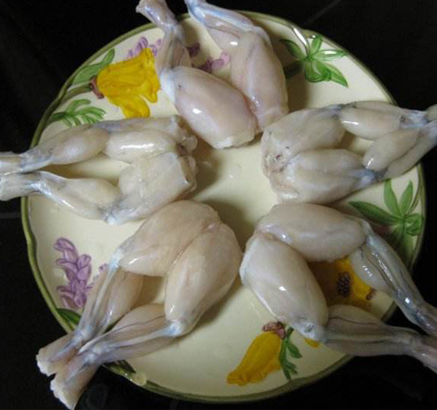 滋补解毒 牛蛙的营养价值和功效介绍