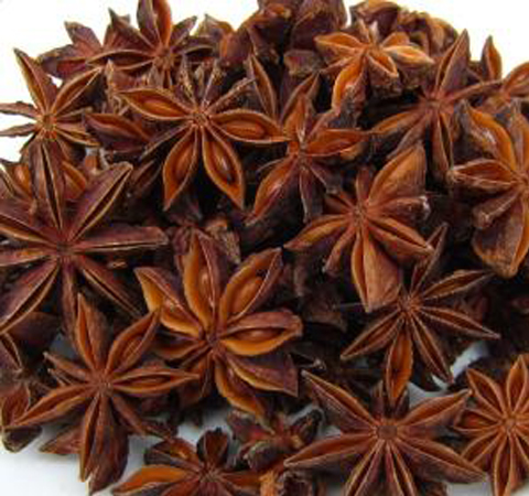 温补肾阳 大茴香的功效与作用及副作用介绍