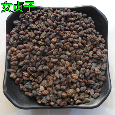 女贞子的功效与作用及其药理作用